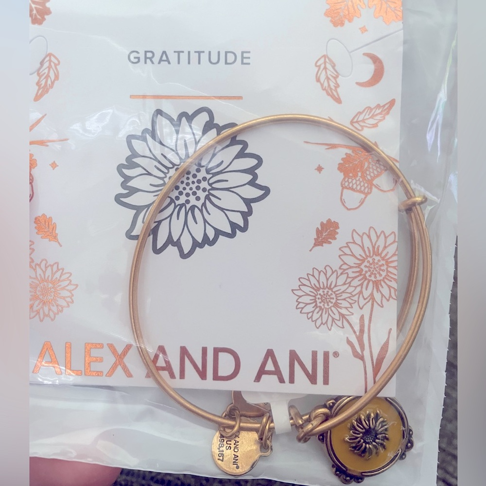 Alex And Ani Gratitude Bracelet